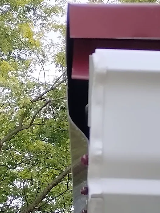 Smith and Sons Ohio (Roof & Tree) Picture 10