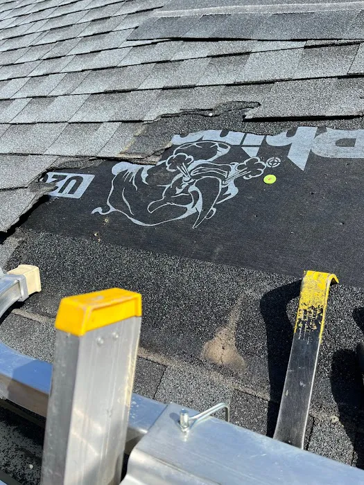 Cincy Roofing Services Picture 8