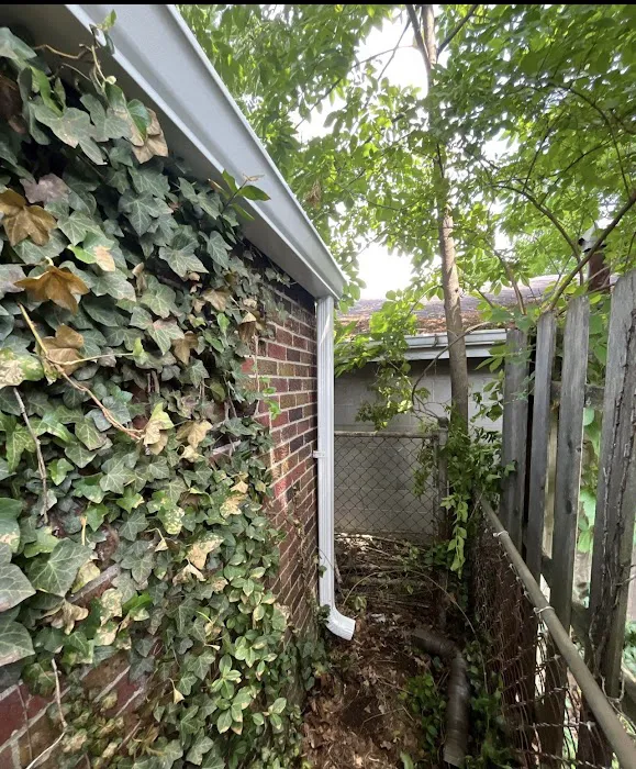 Bone Dry Roofing Picture 5