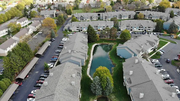 Roof Revivers Picture 2