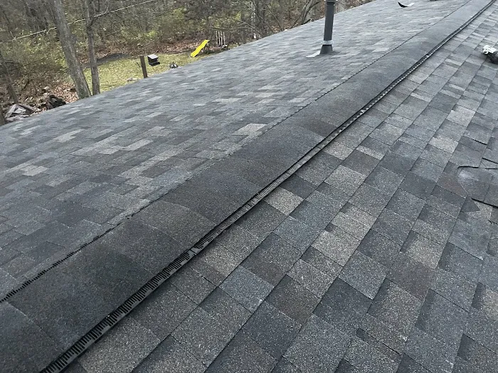 Bone Dry Roofing Picture 1