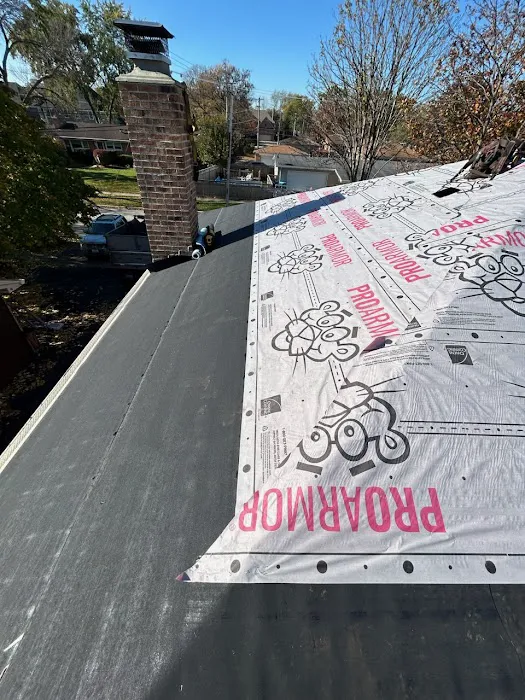 Salazar Roofing Picture 2