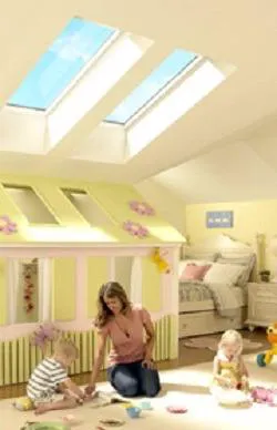 NSS Exteriors Picture 10