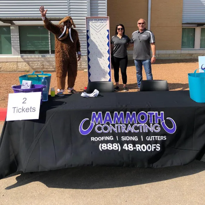 Mammoth Roofing and Solar, Alsip, IL Picture 2