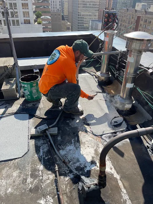 STORM CARE ROOFING AND TUCK POINTING LLC Picture 9