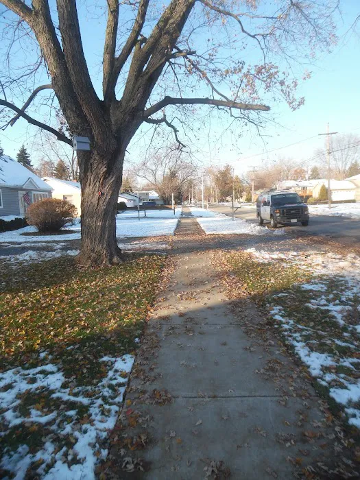 Franos Roofing Picture 1