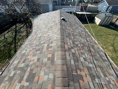 Bam Roofing Picture 10
