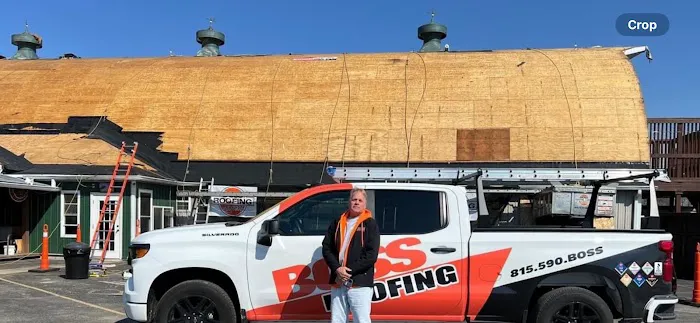 Boss Roofing Experts Decatur Picture 9