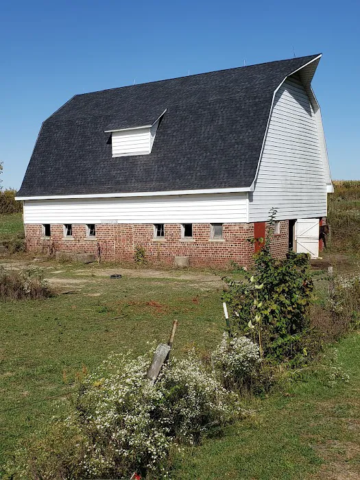 Quality Roofing of Indiana LLC Picture 4