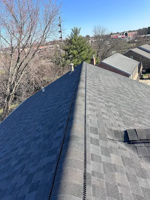 That Girl Roofing Picture 2