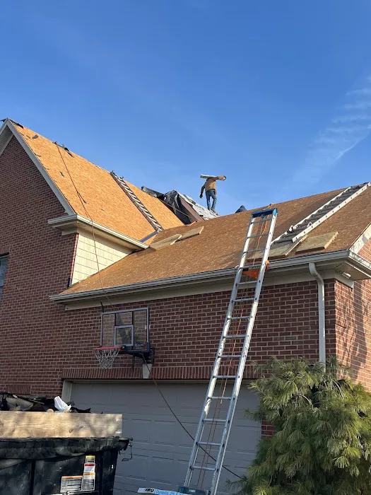That Girl Roofing Picture 8