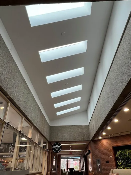 Darwin's Property Solutions Picture 8