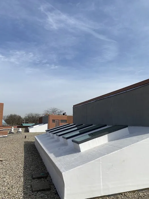 Darwin's Property Solutions Picture 10