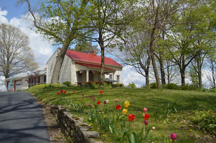 Lance Roofing & Siding Inc. Picture 10