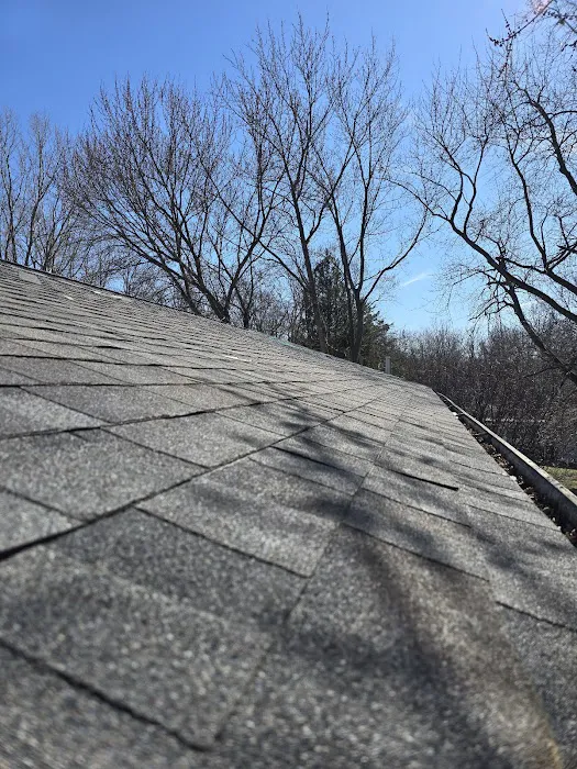 Great Roofing & Restoration Picture 4