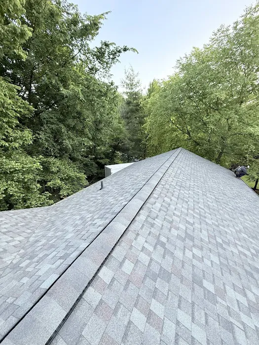 Rus Roofing Picture 4