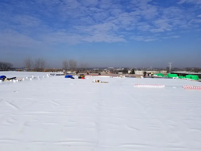 eGreen Roofing Solutions Picture 3