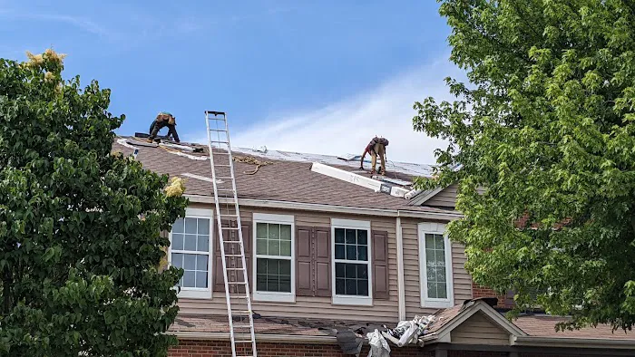 Great Roofing Picture 6