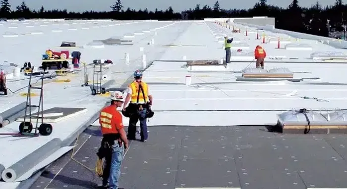 Primal roofing Picture 1