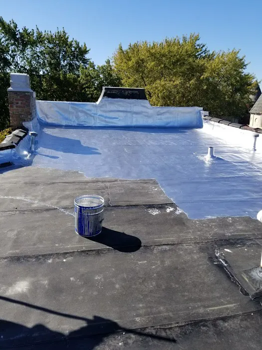 Carlos Perez Roofing Picture 1
