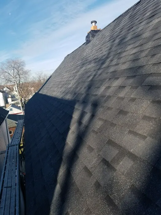Carlos Perez Roofing Picture 3