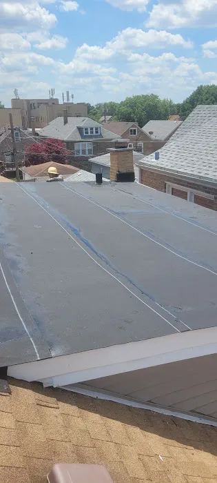 Roofing caguana Picture 2