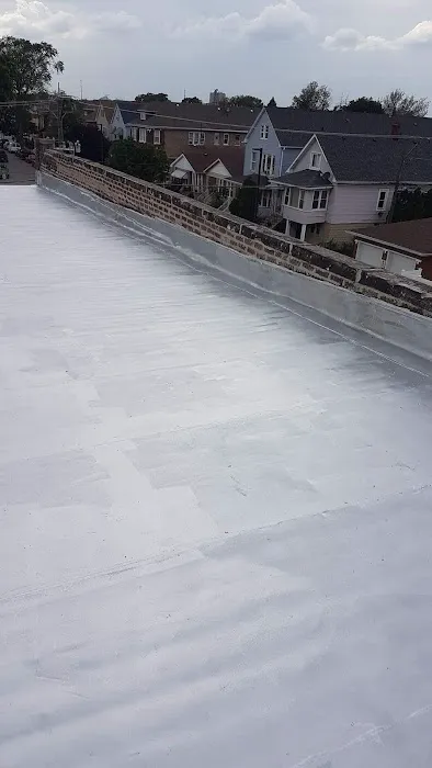 Roofing caguana Picture 9