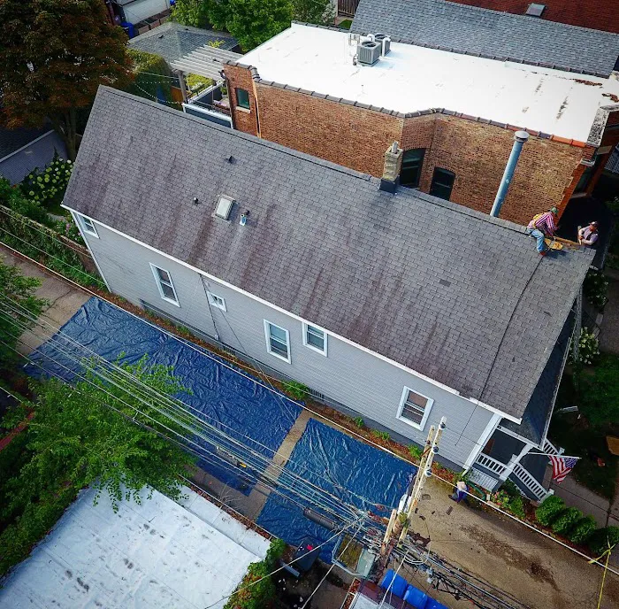 Alpha Roofing Solutions Picture 3