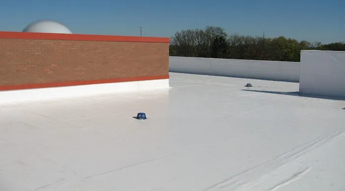 I.C. Enterprises Picture 4