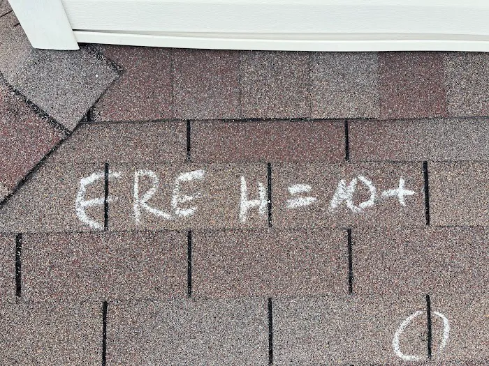 Modern Roof Picture 2