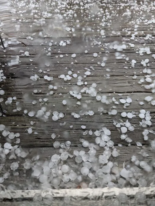 Modern Roof Picture 5