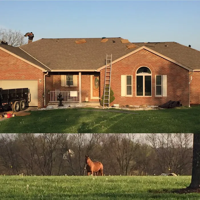 The Blue Roof Company Picture 2