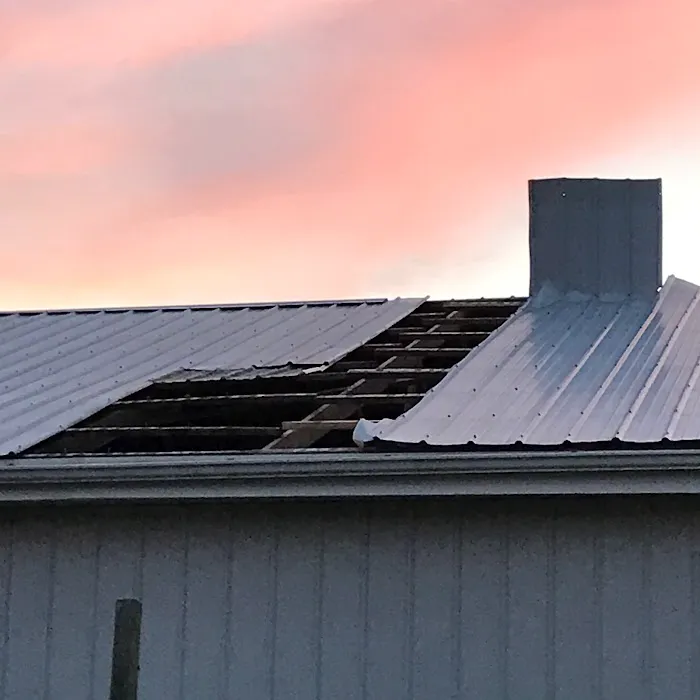 The Blue Roof Company Picture 4