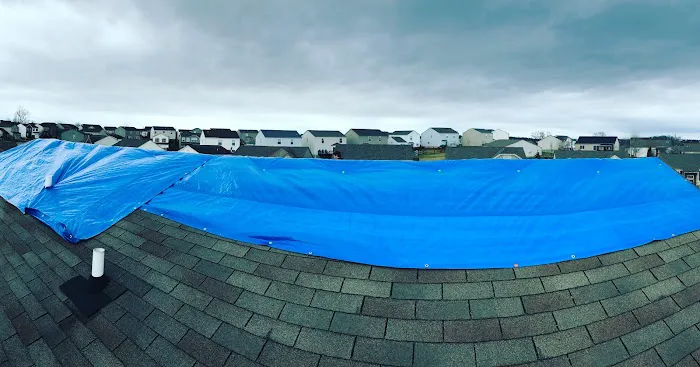 The Blue Roof Company Picture 10