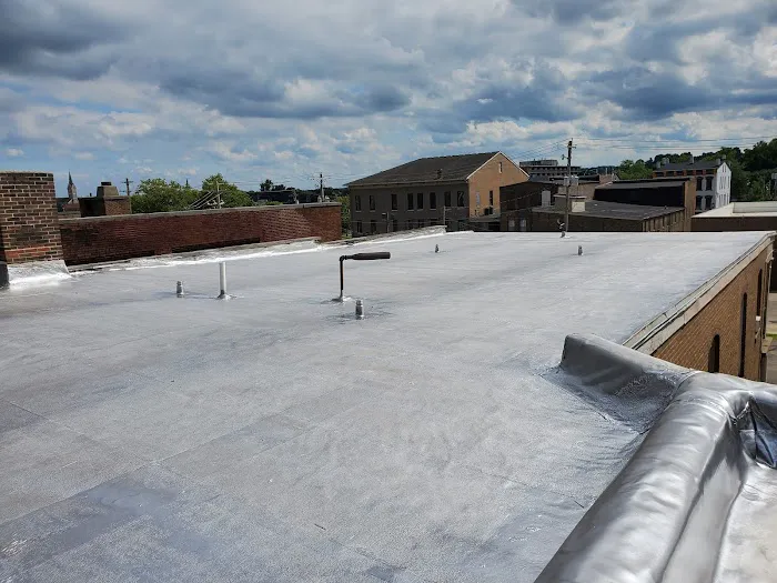 pioneers roofing Picture 3