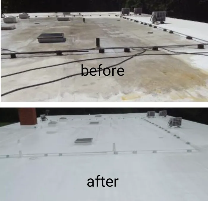 pioneers roofing Picture 2