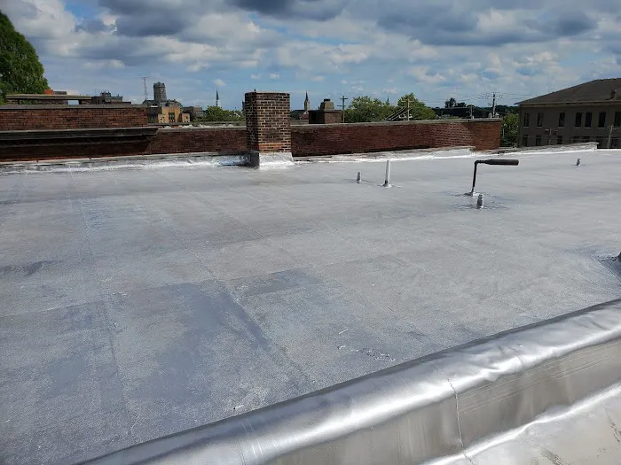 pioneers roofing Picture 6