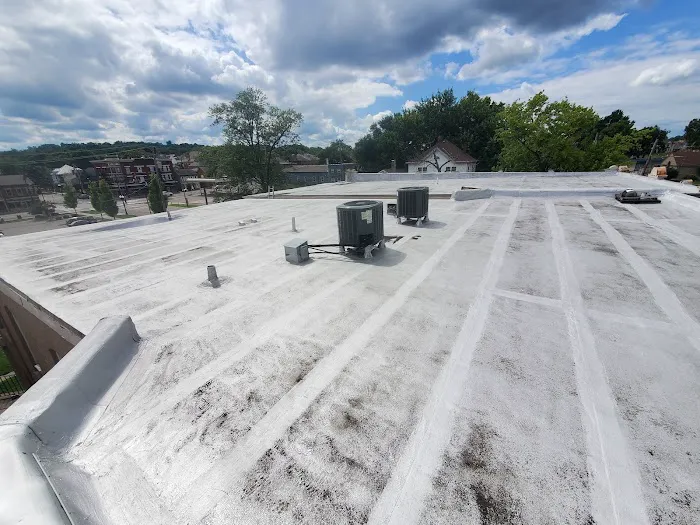 pioneers roofing Picture 5