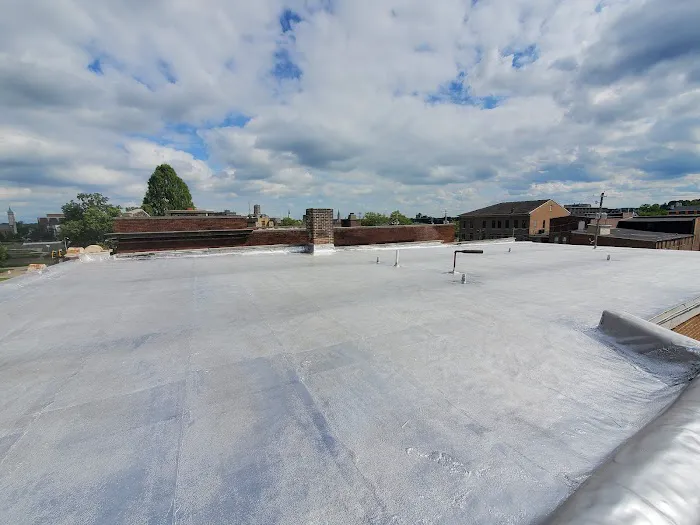 pioneers roofing Picture 4