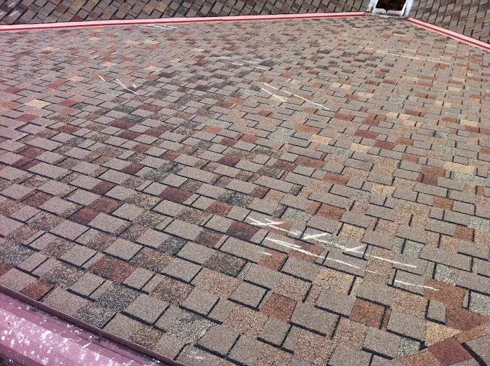 National Property Loss Co. Picture 1