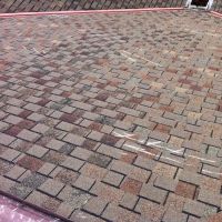 National Property Loss Co. ico