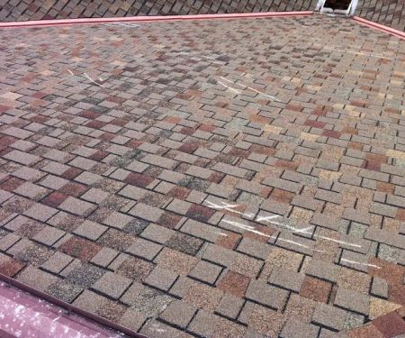 National Property Loss Co.