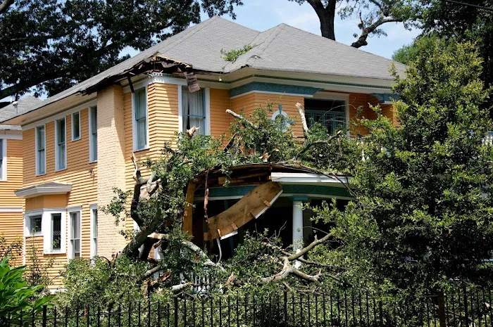 National Property Loss Co. Picture 2