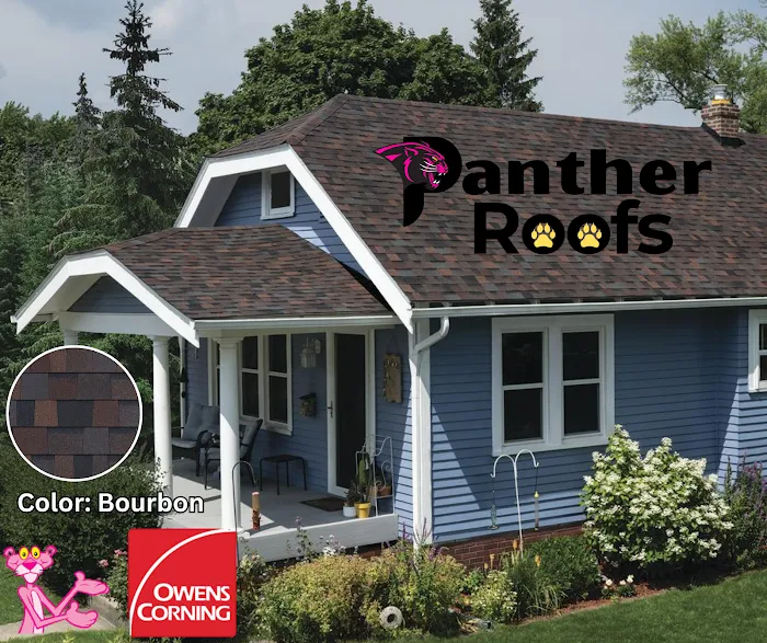 Panther Roofs Picture 3