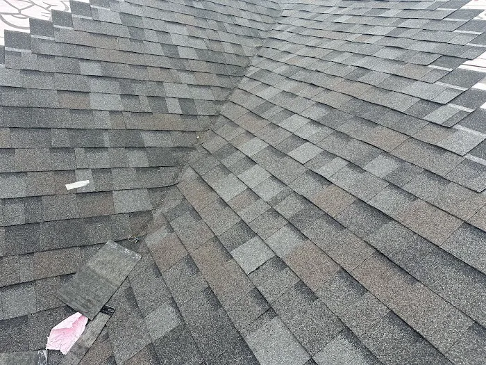 Panther Roofs Picture 1