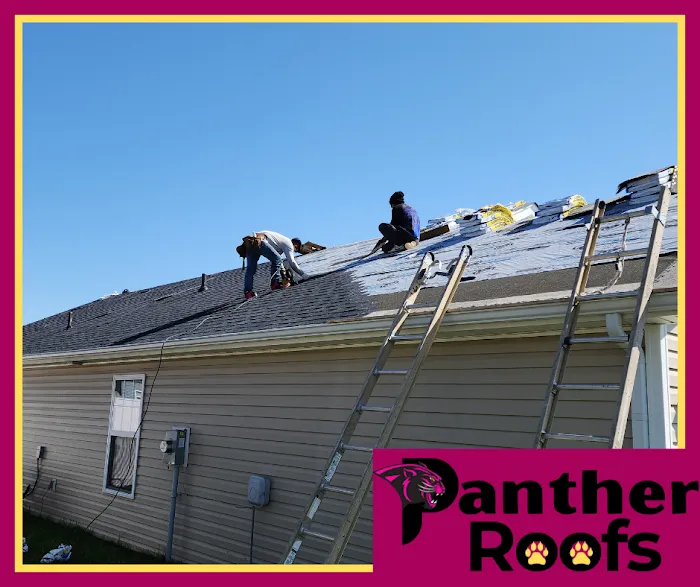 Panther Roofs Picture 6