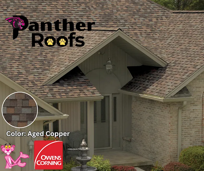 Panther Roofs Picture 5