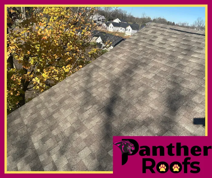 Panther Roofs Picture 7