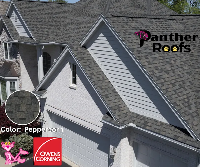 Panther Roofs Picture 9