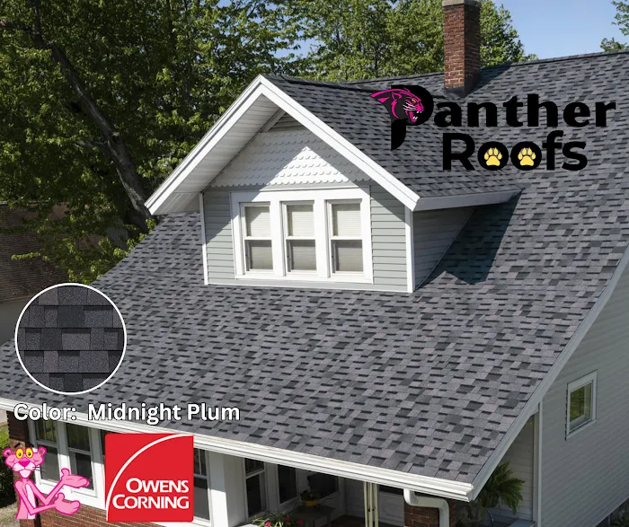 Panther Roofs Picture 8